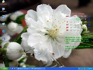 Water Desktop screenshot